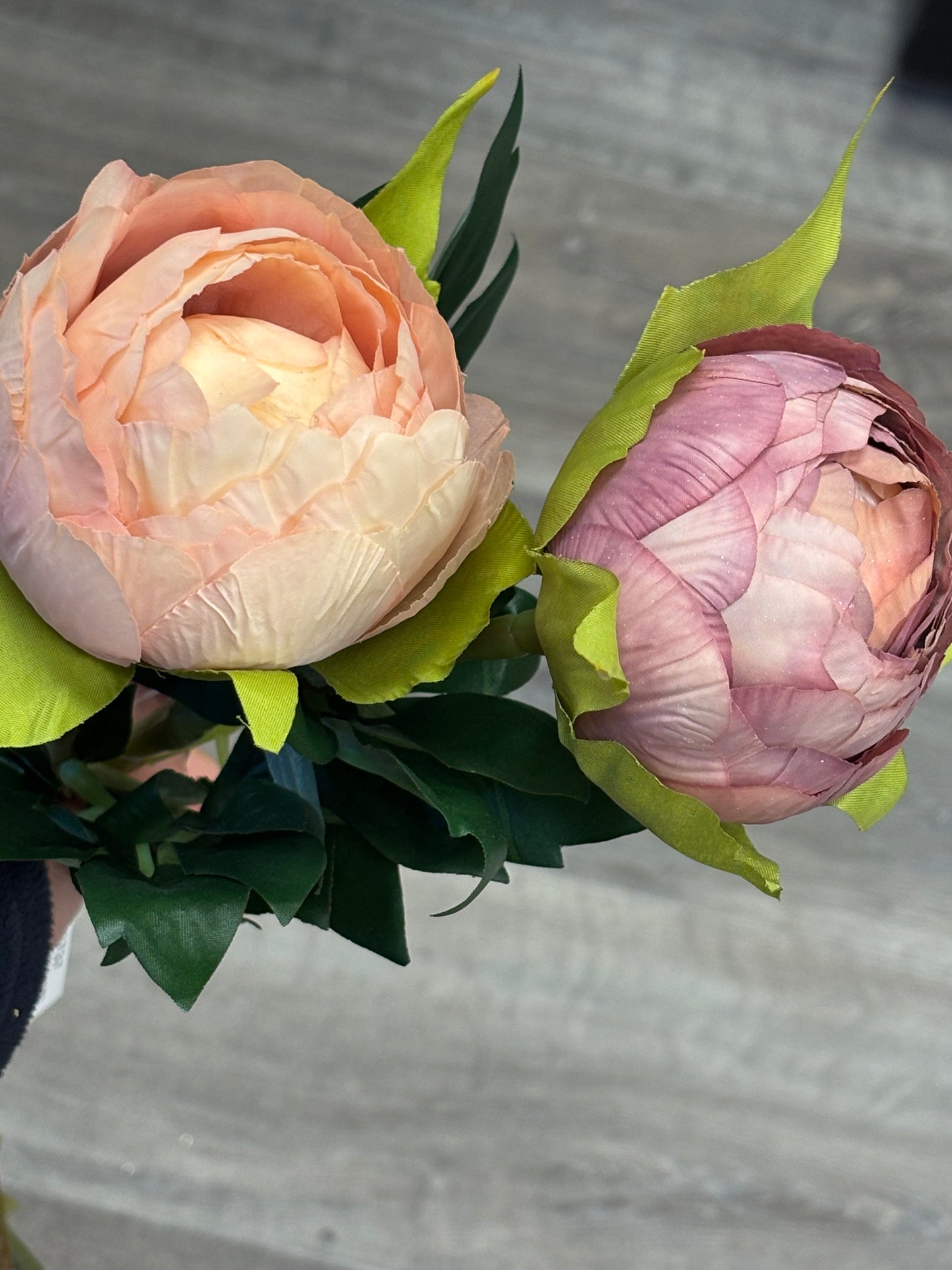 Luxurious closed Peony stems