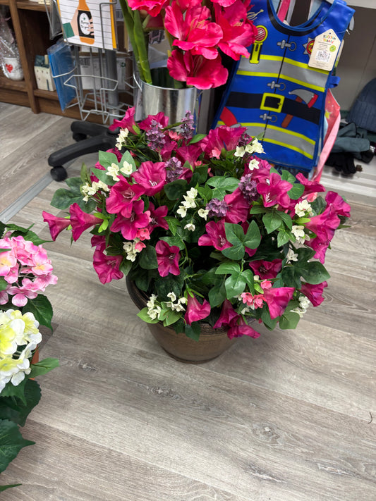Petunia Pots Free P&P