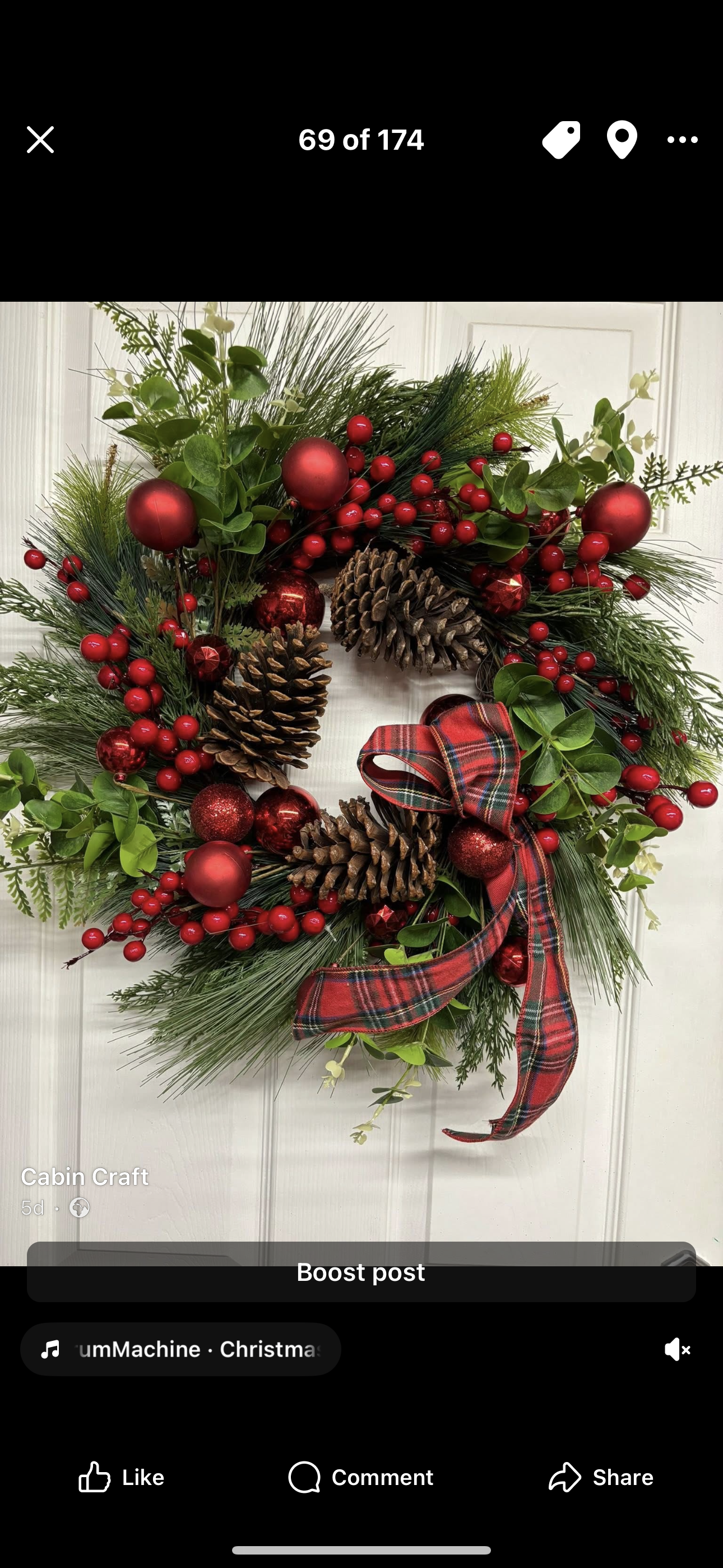 Winter bloom after P&P