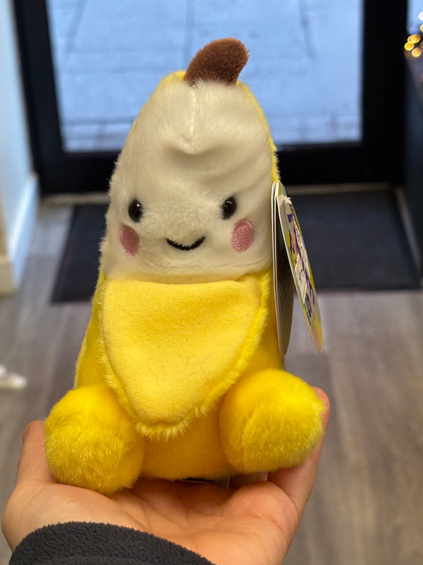 Palm Pals Were £9 Now £4.50