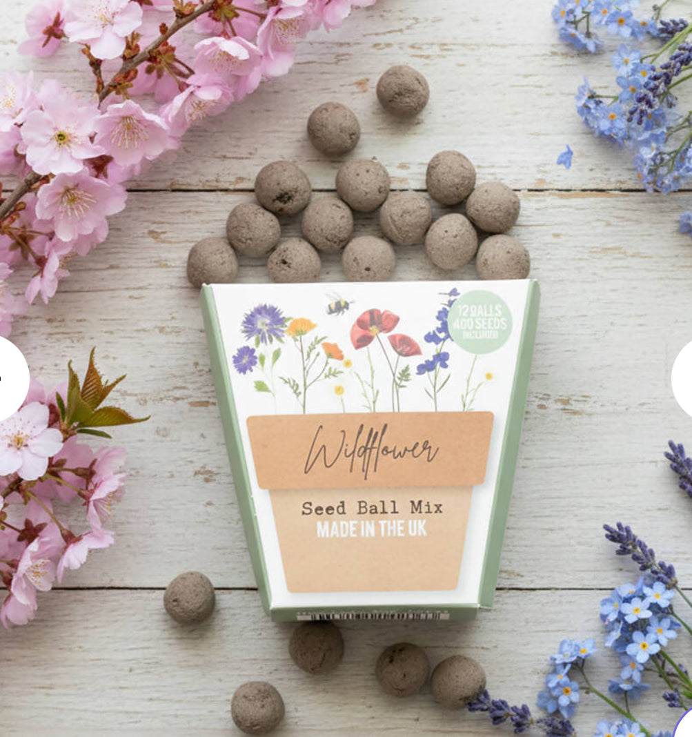 Wildflower seed Bombs