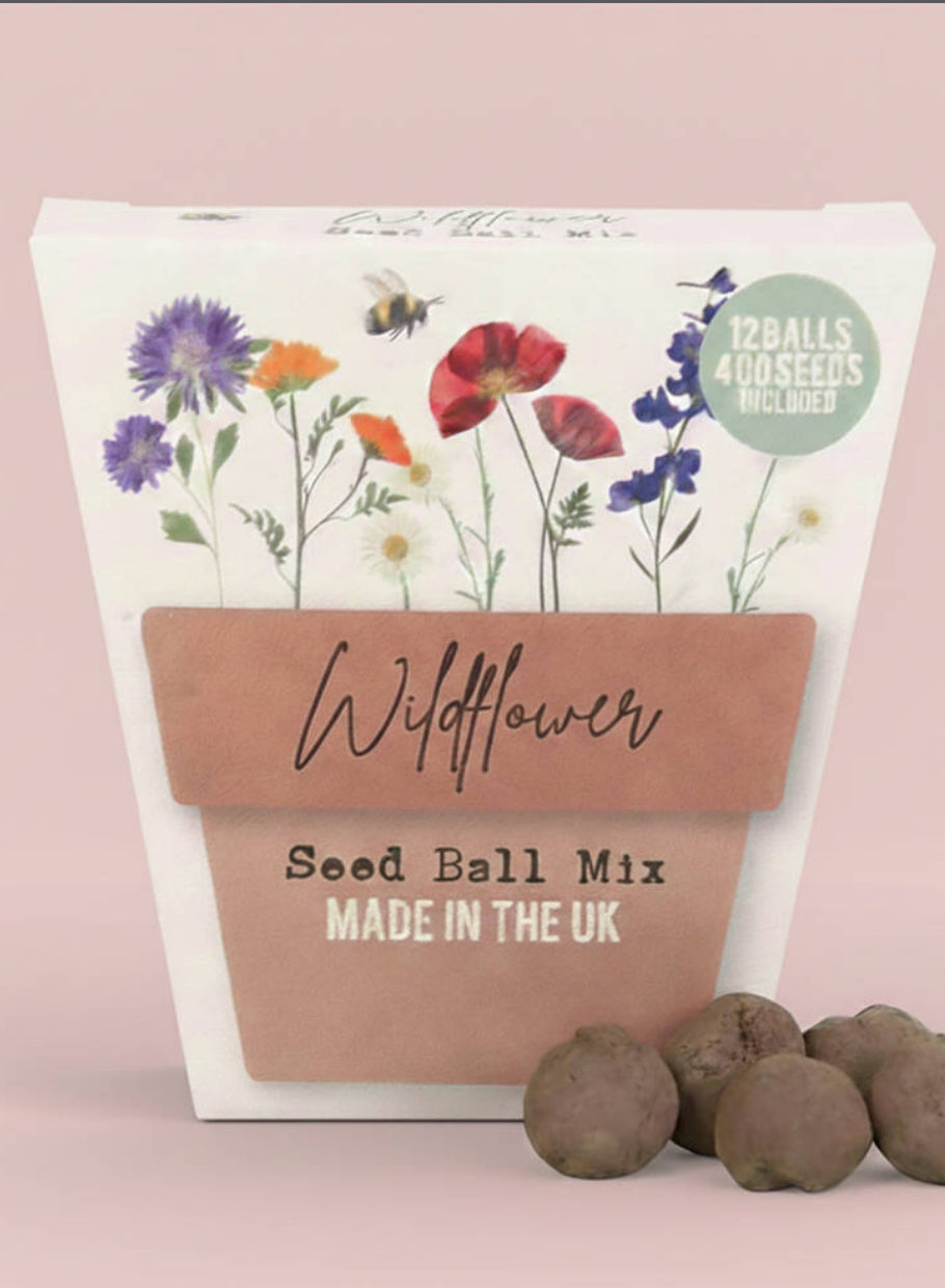 Wildflower seed Bombs