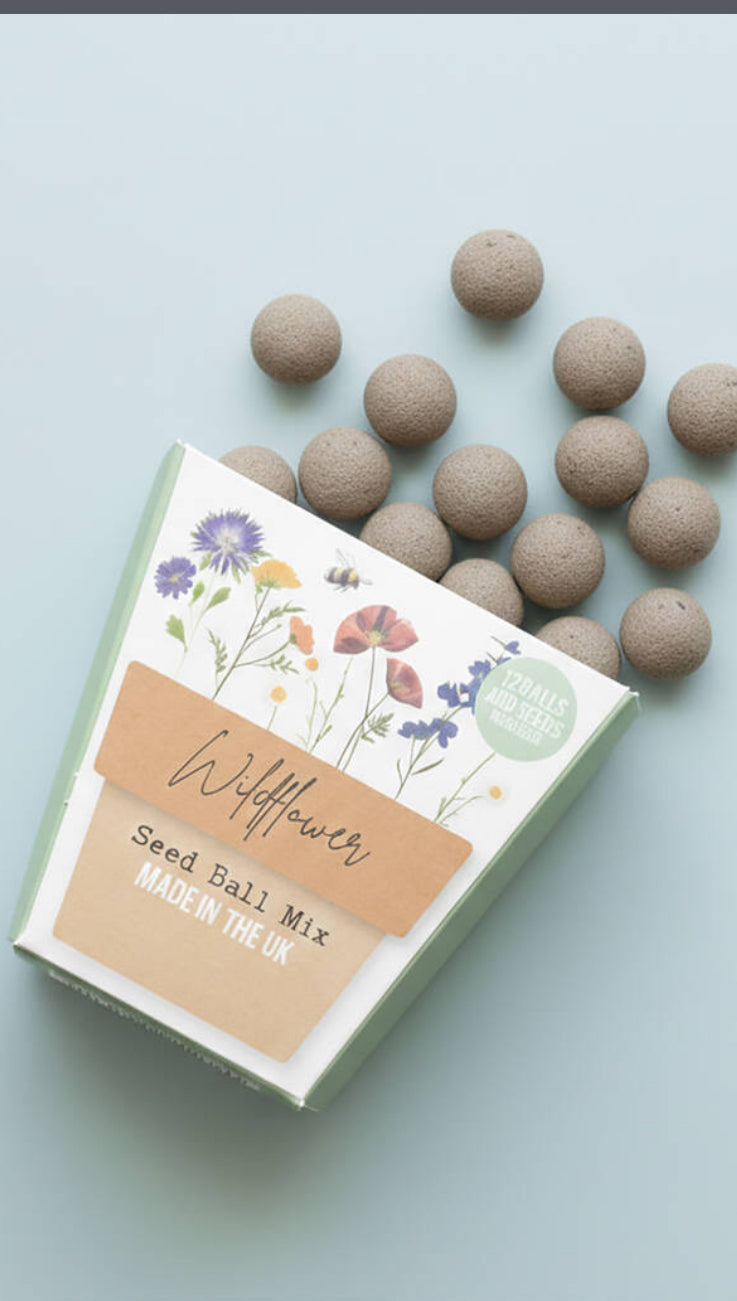 Wildflower seed Bombs