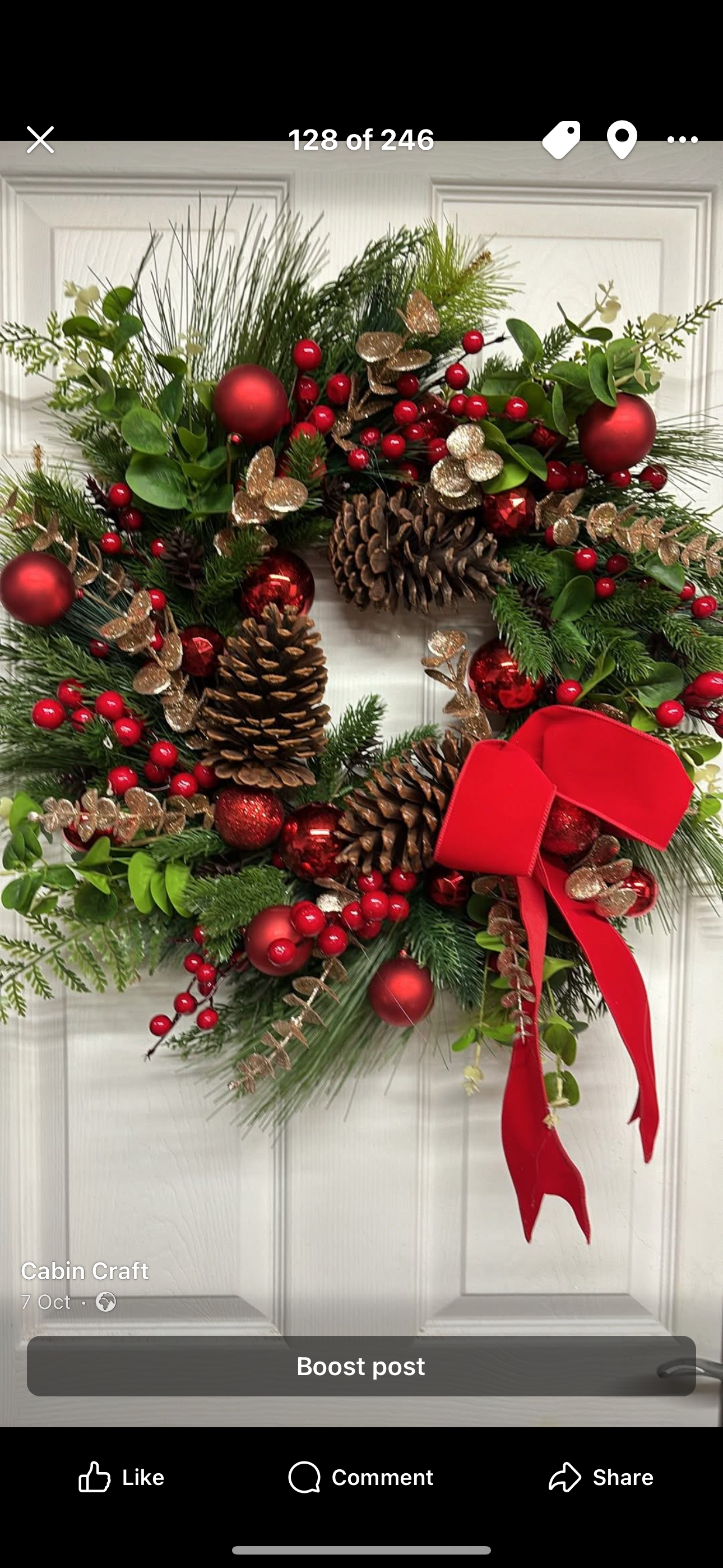 Winter bloom after P&P