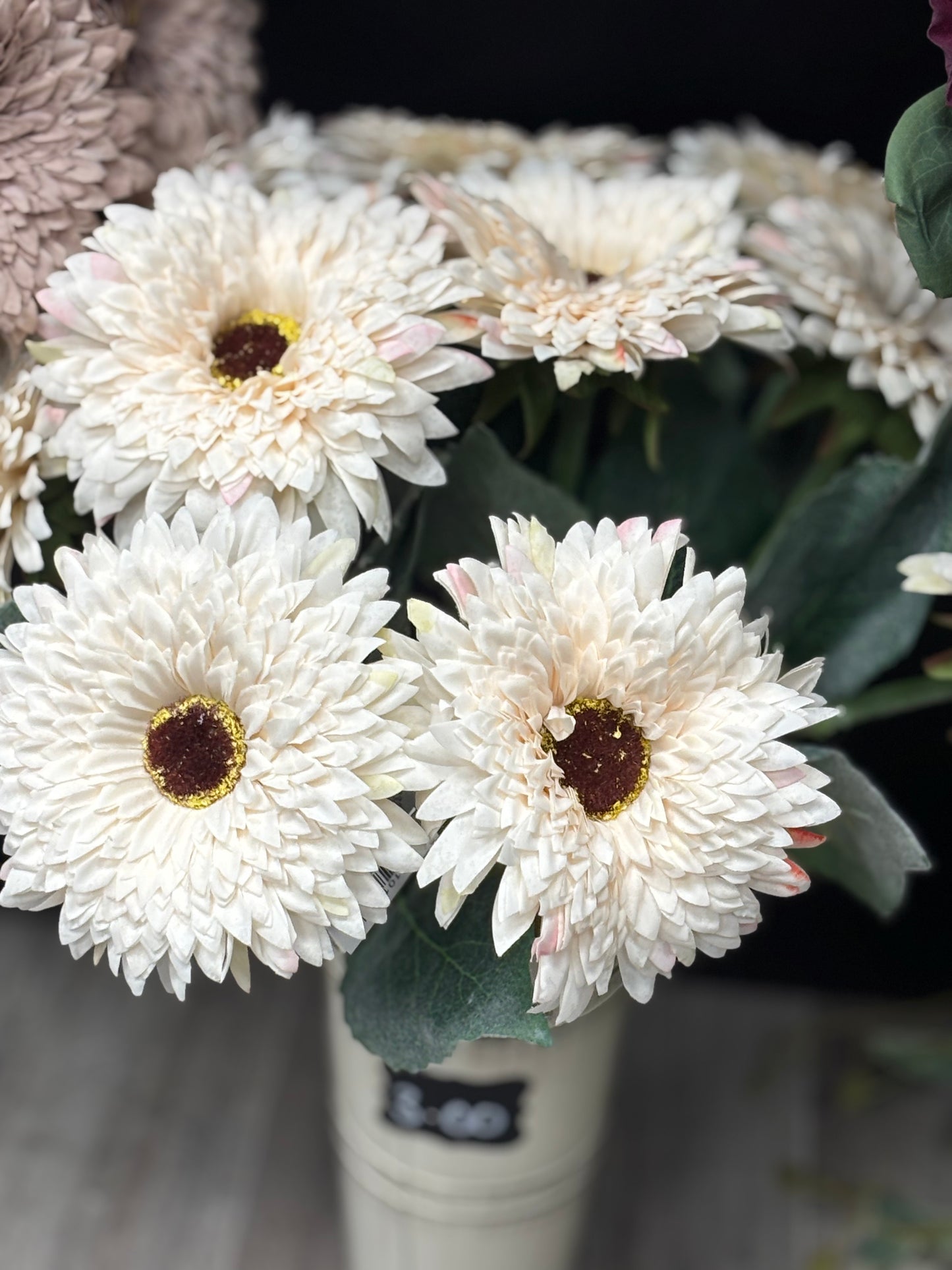 Crisp Cream Gerbera Daisy