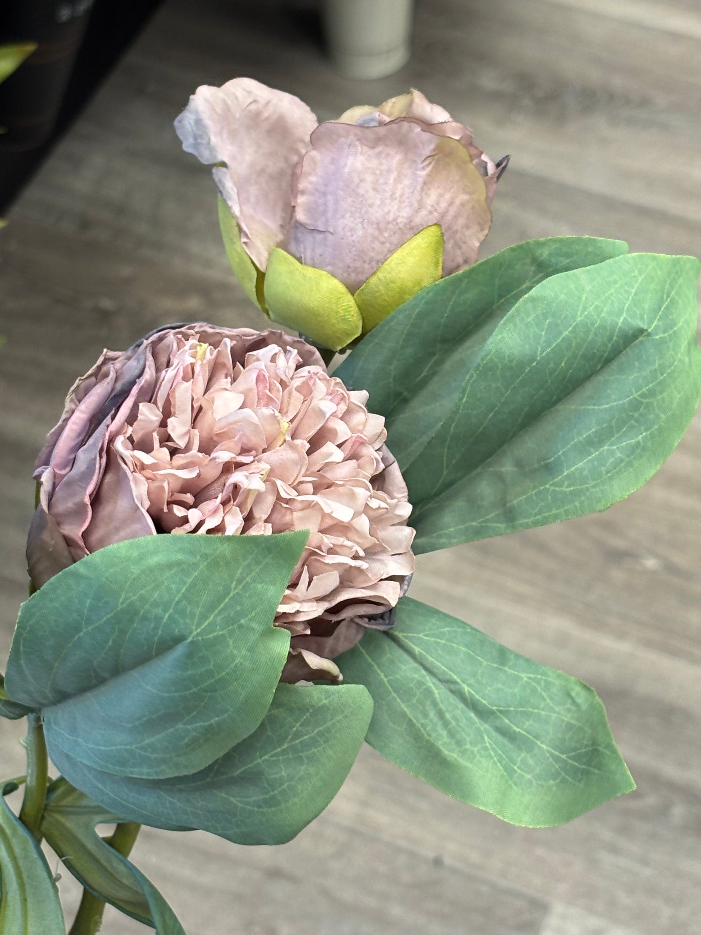 Timeless Elegance Peony