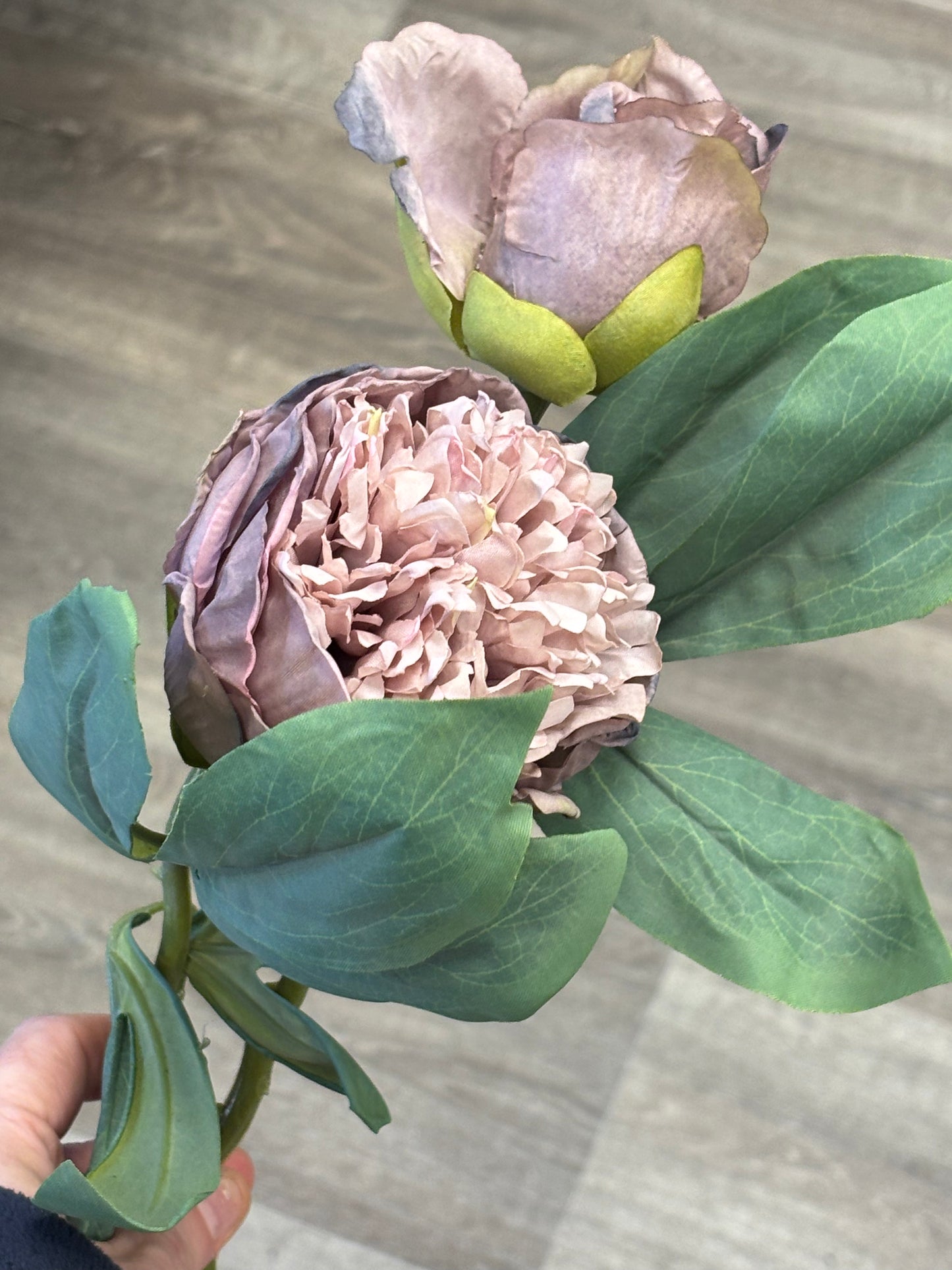 Timeless Elegance Peony