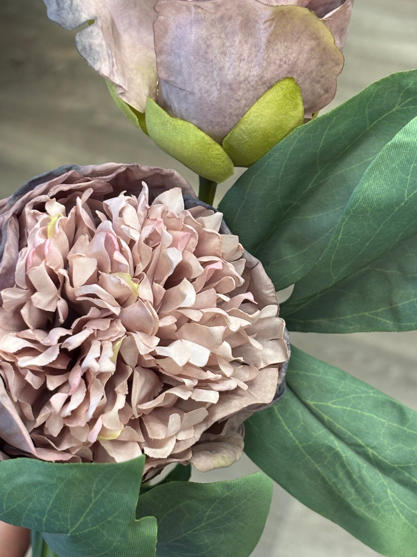 Timeless Elegance Peony