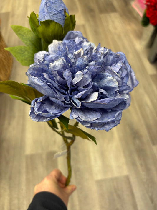 Regal Indigo Peony
