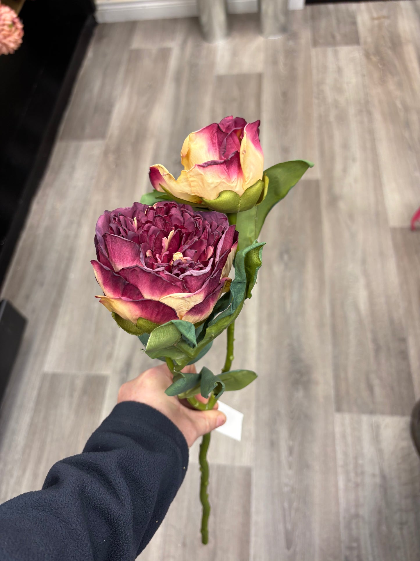 🍷 Dramatic Wine & Cream Peony S