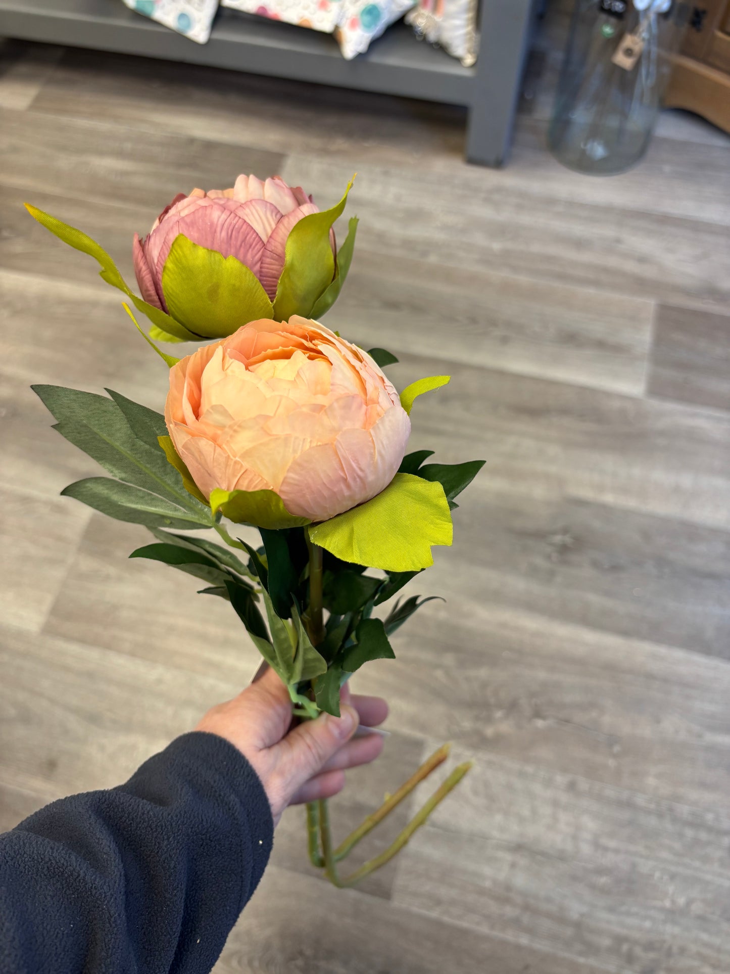 Luxurious closed Peony stems