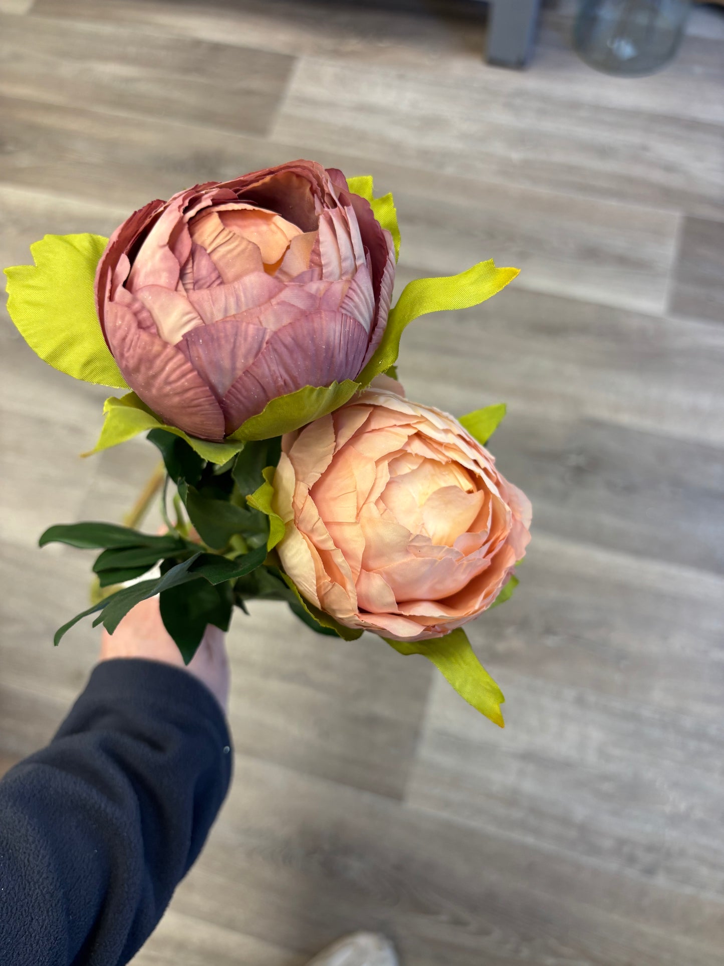 Luxurious closed Peony stems