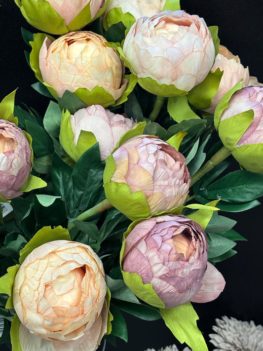 Luxurious closed Peony stems