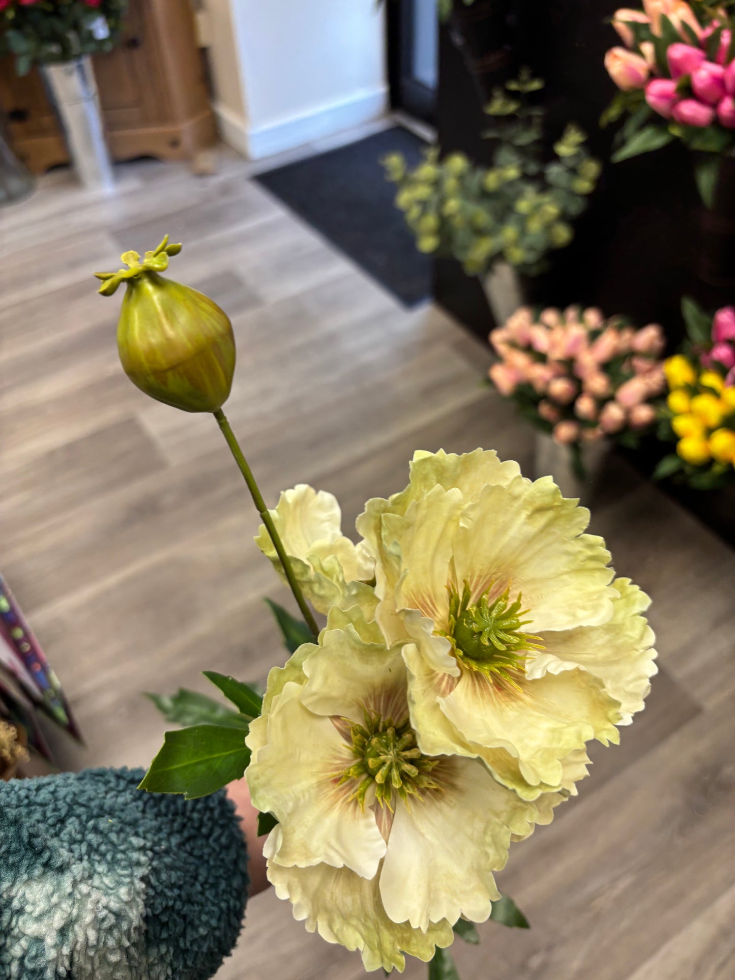 Icelandic Poppy Stem