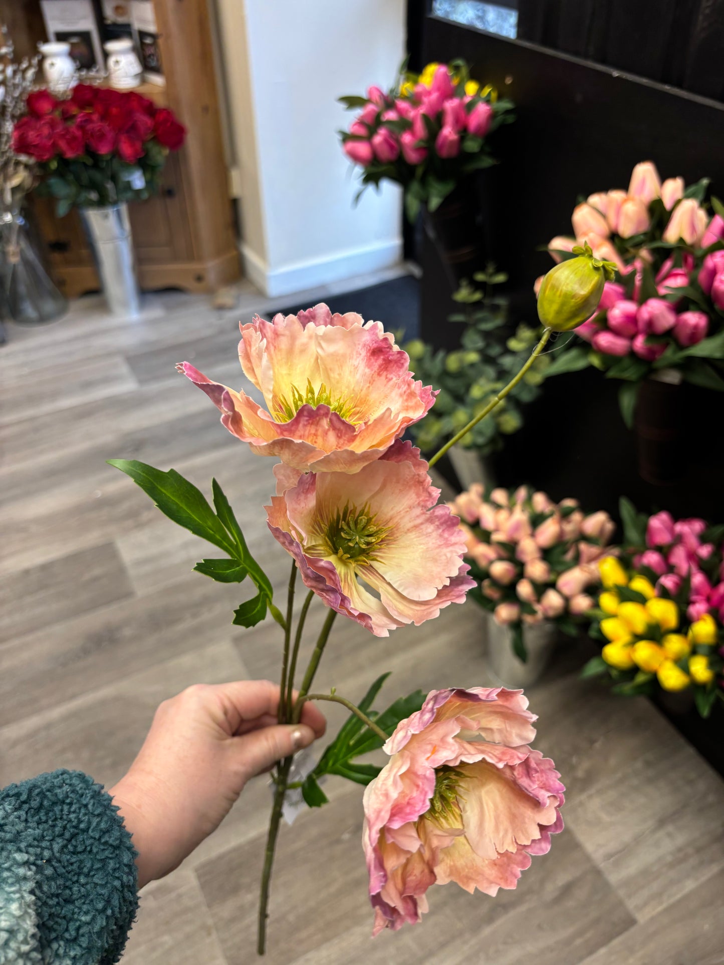 Icelandic Poppy Stem