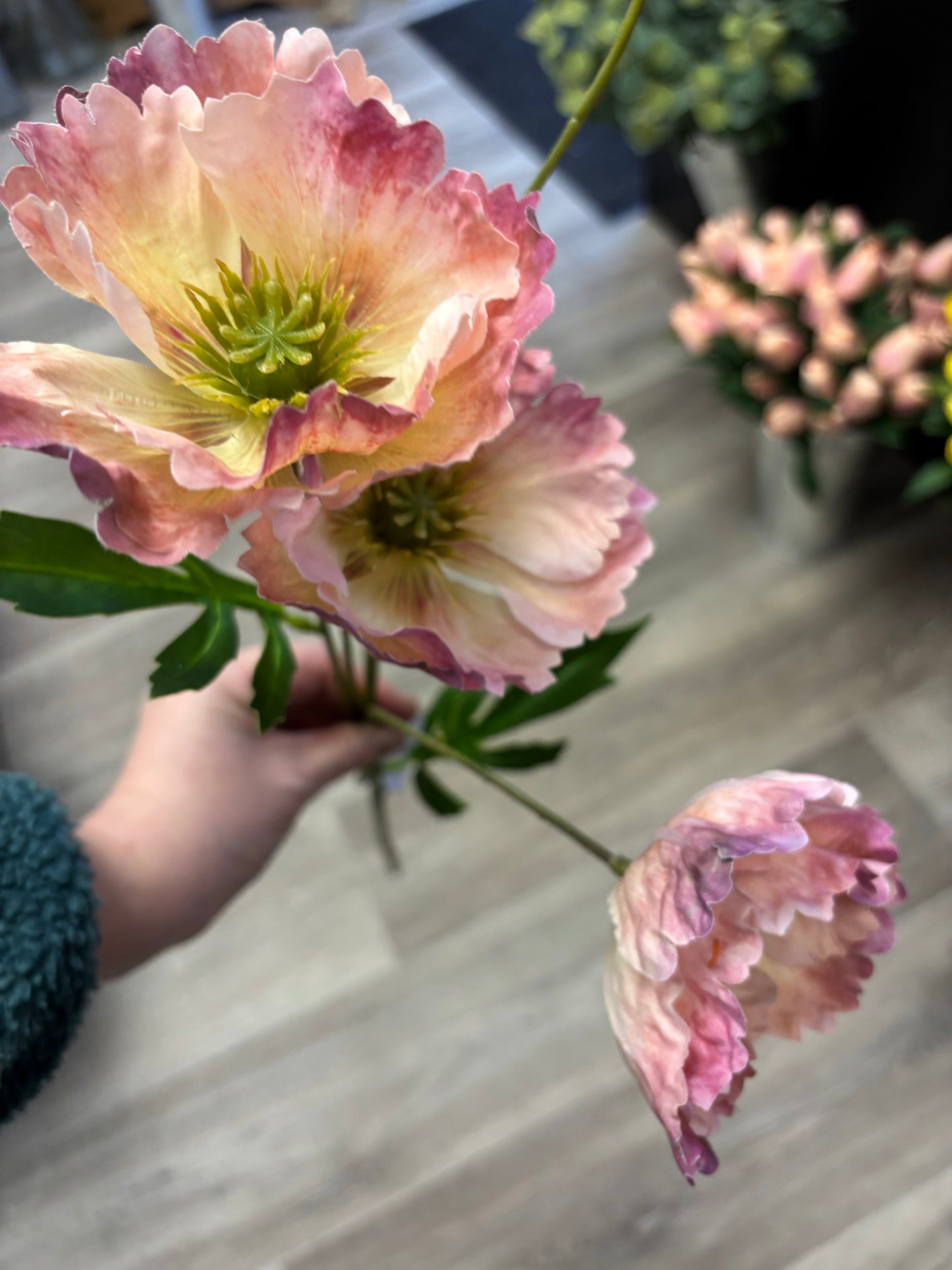 Icelandic Poppy Stem