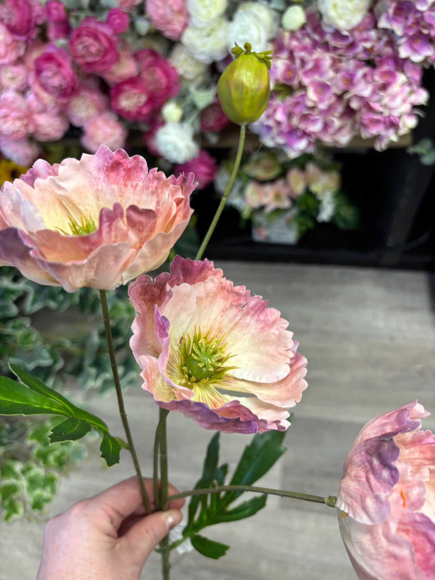 Icelandic Poppy Stem