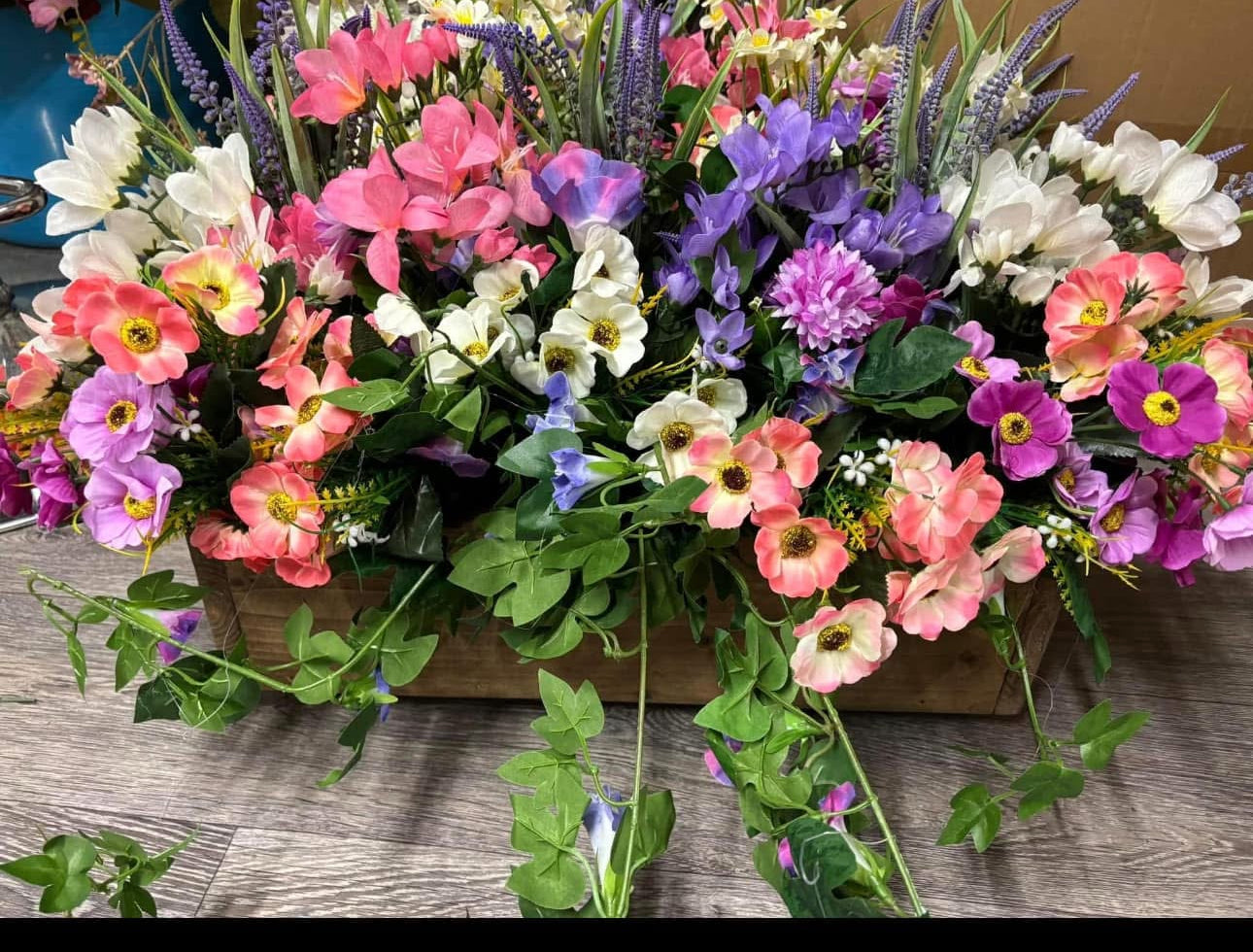 Window boxes FREE P&P