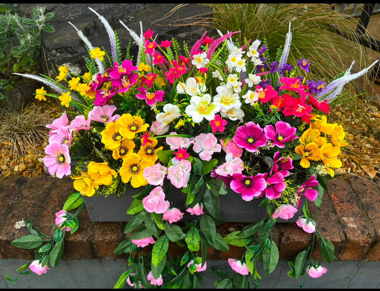 Window boxes FREE P&P