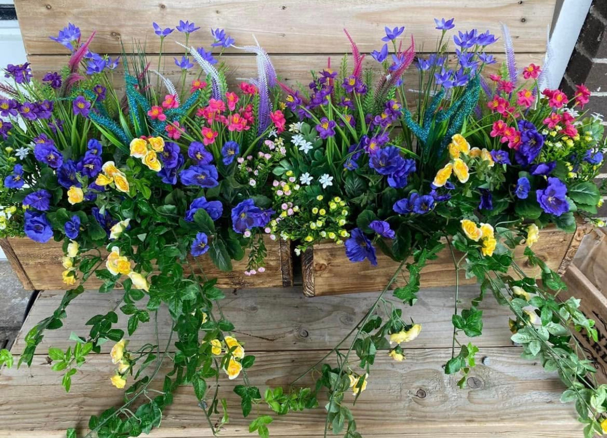 Window boxes FREE P&P
