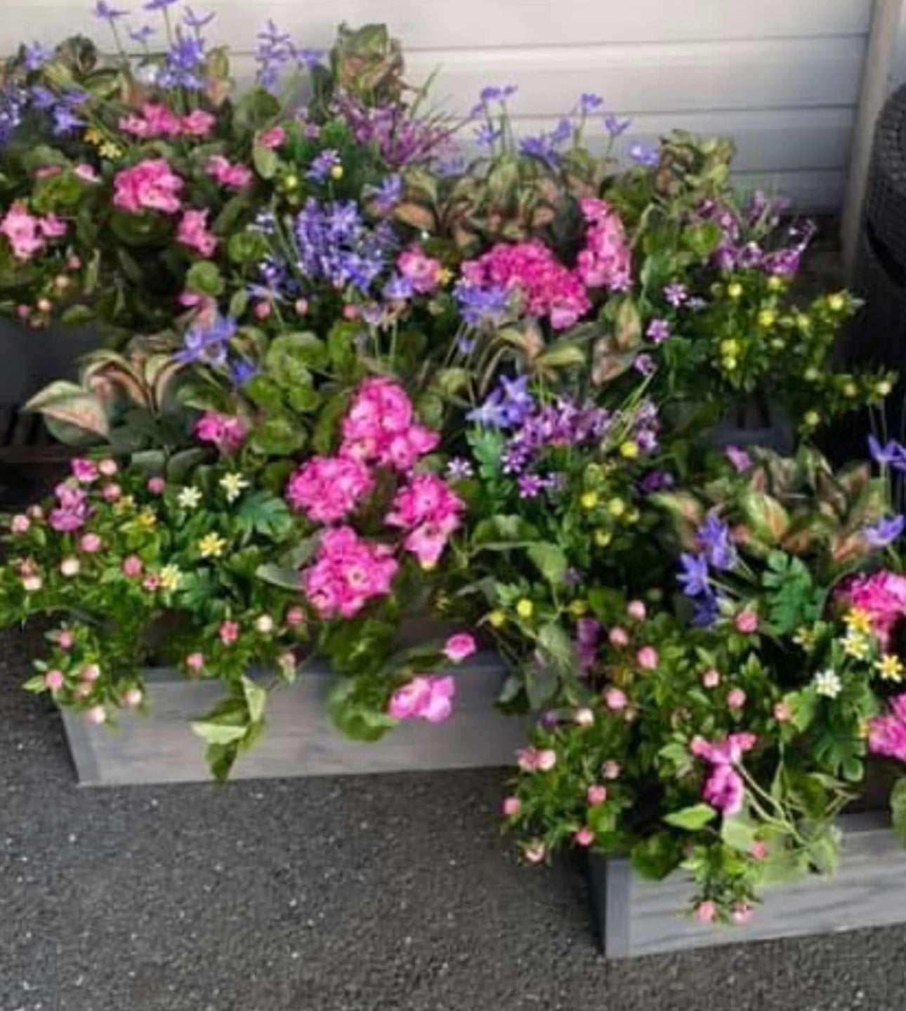 Window boxes FREE P&P