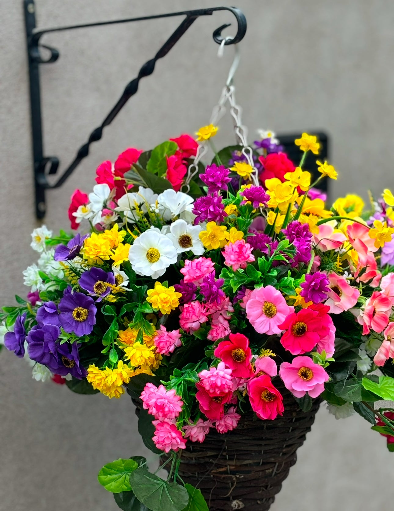 Hanging baskets FREE P&P
