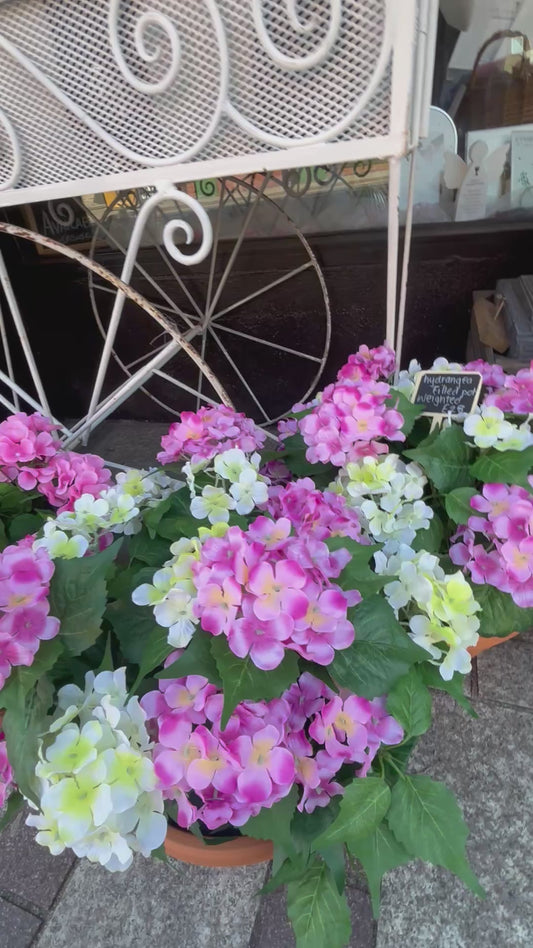Hydrangea Weighted Pots Free P&P